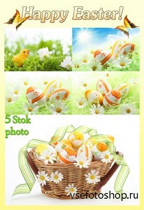 Пасха, корзина с пасхальными яйцами и лентой, ромашки - Сток фото