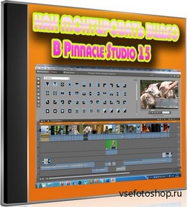     Pinnacle Studio 15 (2012) DVDRip