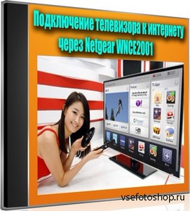      Netgear WNCE2001 (2012) DVDRip