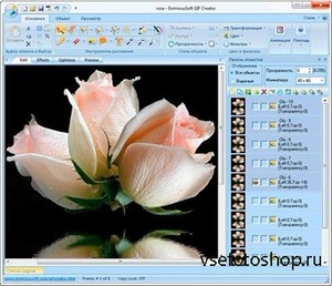 EximiousSoft GIF Creator v7.15 Rus