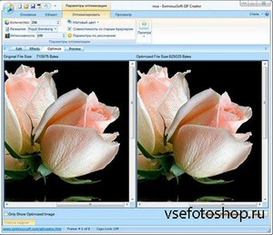 EximiousSoft GIF Creator v7.15 Rus