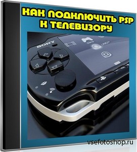   PSP   (2012) DVDRip