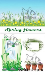 Spring flowers /  