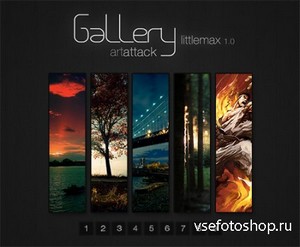 PSD Web Design - Gallery LittleMAX 1.0