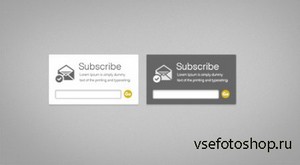 Beautiful Email Newsletter Subscription Form PSD