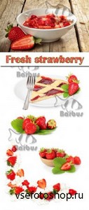 Fresh strawberry /   - Photo stock