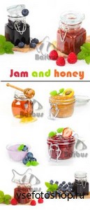 Jam and honey /    - Photo stock