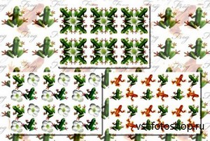 Frog Patterns