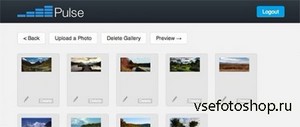 Pulse CMS Pro v2.3 UPDATED!