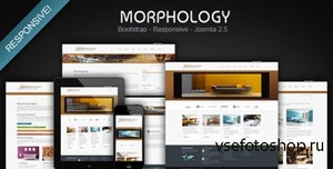 ThemeForest - Morphology - Responsive Joomla Business Template