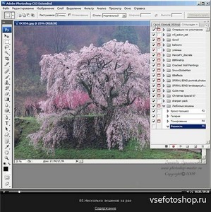  Adobe Photoshop CS3       [2007-2013] 3.05.2013
