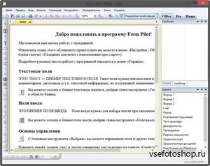 Form Pilot Office 2.42 Rus Portable by Valx