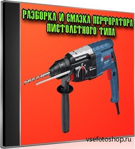 Разборка и смазка перфоратора пистолетного типа (2013) DVDRip
