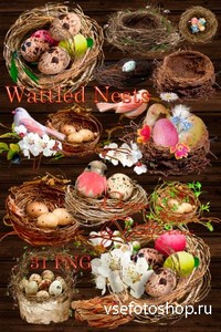 Клипарты в PNG  к празднику – Плетеные гнезда