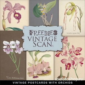 Scrap-kit - Vintage Postcards With Orchids 3