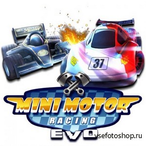 Mini Motor Racing EVO (2013) Repack by Audioslave