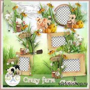 - - Crazy Farm