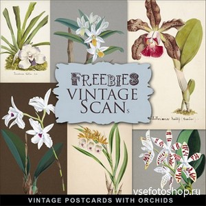 Scrap-kit - Vintage Postcards With Orchids 6