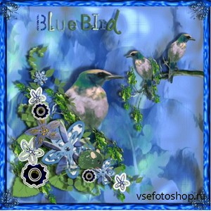 Scrap Set - Blue Bird PNG  Files