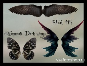 Dark wings set