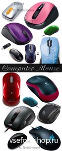   PNG   / Computer mouse - Clipart in PNG