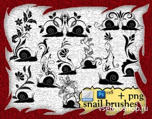 ABR Brushes - Snail