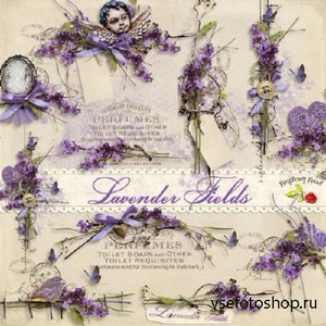  - - Lavender Fields
