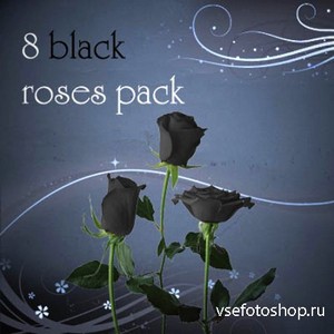 Black Roses Pack