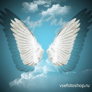 Angel wings