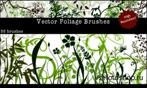Vector Foliage-Plants Brushes