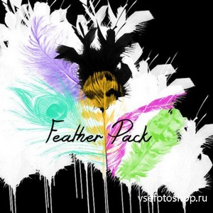 Beautiful Feather Brush Pack