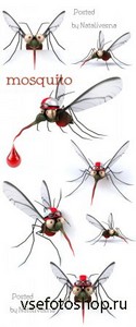 3D     / 3D Mosquito - Stock photo