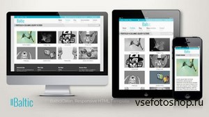 Mojo-Themes - Baltic Responsive Business HTML Template - RIP