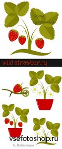    / Vector - Wild strawberry