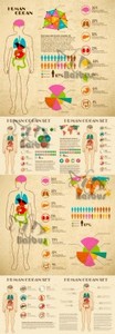 The anatomic Infographic /  