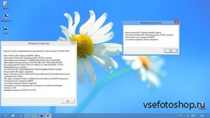Windows 8 Professional Upgrade 20.06 x86/x64 (2013/RUS)
