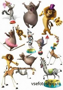 Подборка отрисованных персонажей мультфильма Мадагаскар 3 на белом фоне