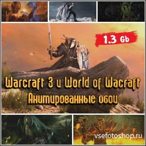 Warcraft 3  World of Wacraft -  