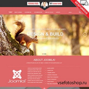VTem - Personal for Joomla 2.5 & 3.1