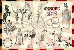 ABR Brushes - Vintage circus 1
