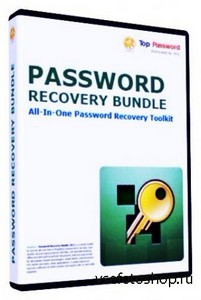 Password Recovery Bundle 2013 Enterprise Edition 3.0 DC 29.06.2013