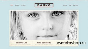 ThemesKingdom - Danko v1.5 - Business WordPress Theme