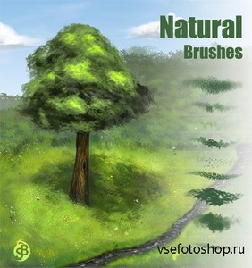Natural ABR Brushset