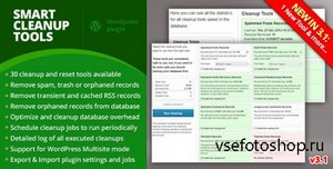 CodeCanyon - Smart Cleanup Tools v2.1