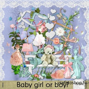 Scrap Set - Baby Girl or Boy PNG and JPG Files