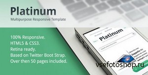 ThemeForest - Platinum - Multipurpose Responsive Template - RIP