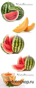        / Melon and water-melon - Stock photo