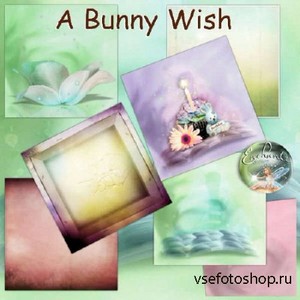 - - Little Bunny Wish