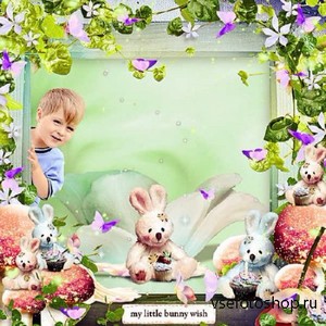 - - Little Bunny Wish