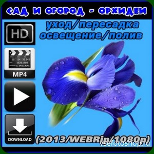 Орхидеи. Уход, полив, пересадка, освещение (2013/WEBRip/1080p) MP4